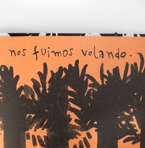Dentro de una cebra
